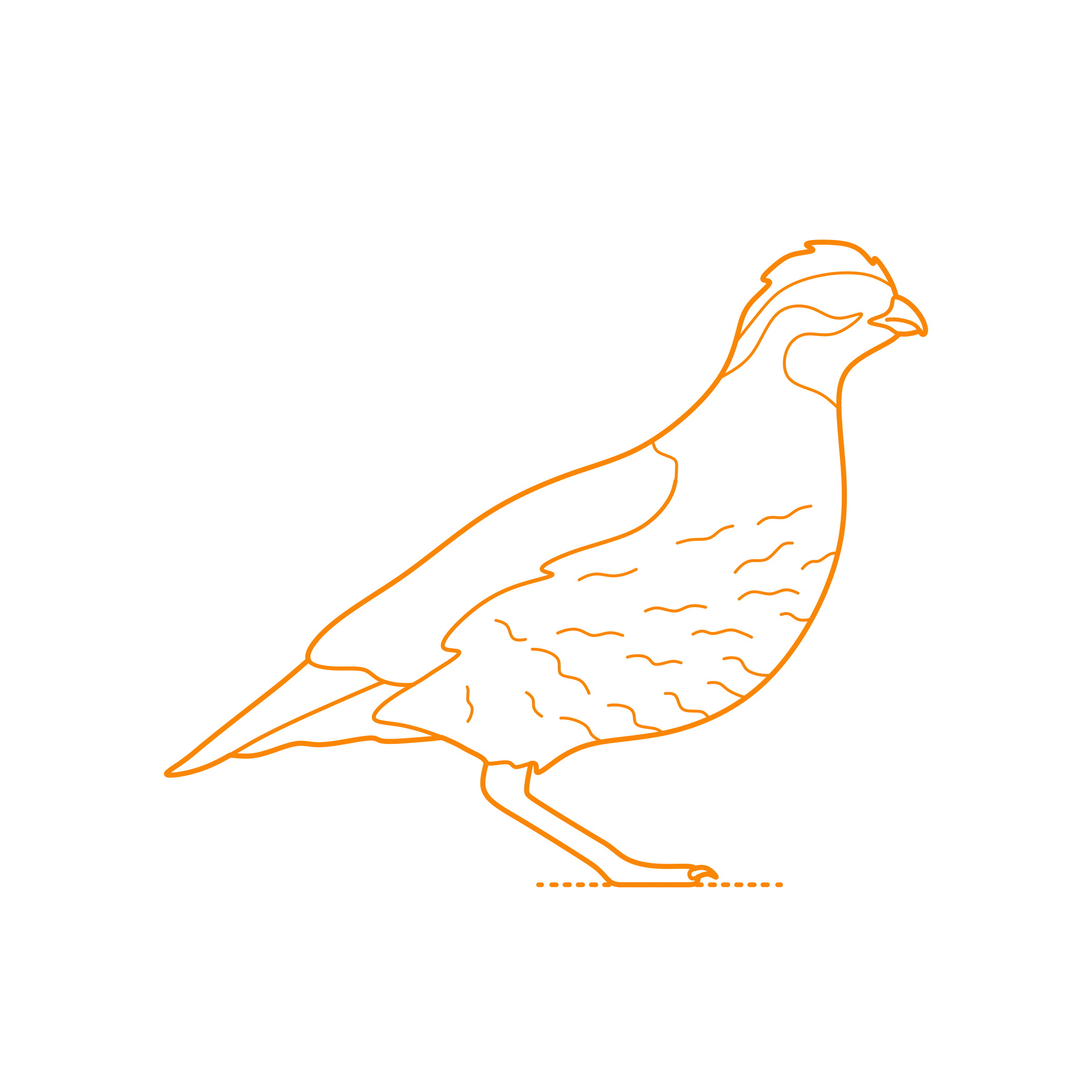 Animals Gamefowl Northern Bobwhite Svg Line Art Free Vectors